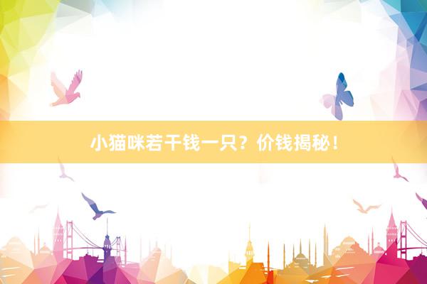 小猫咪若干钱一只?价钱揭秘!